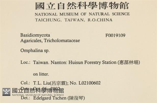登錄號:F0019109藏品圖，第2張