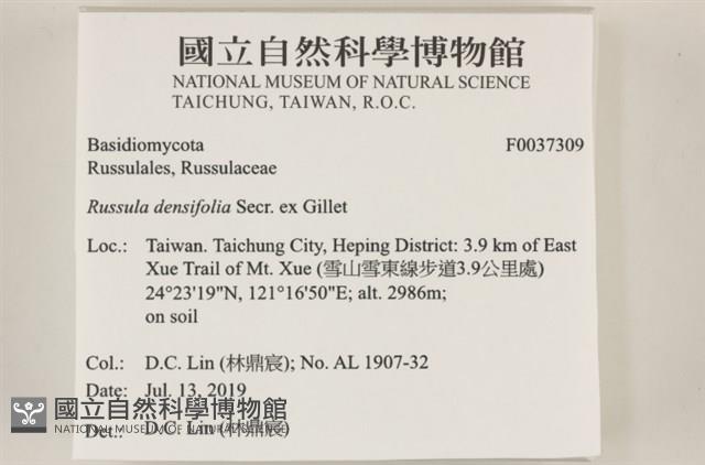 登錄號:F0037309藏品圖，第2張