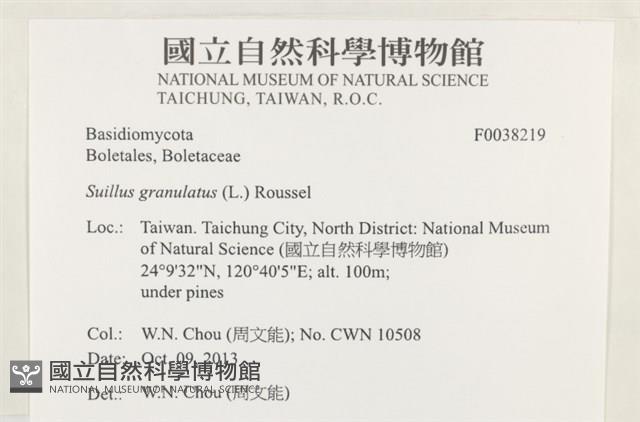 登錄號:F0038219藏品圖，第2張