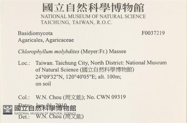 登錄號:F0037219藏品圖，第2張