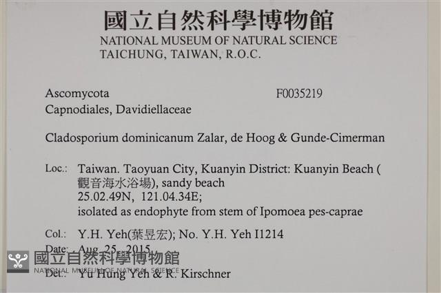 Accession Number:F0035219 Collection Image, Figure 2, Total 2 Figures