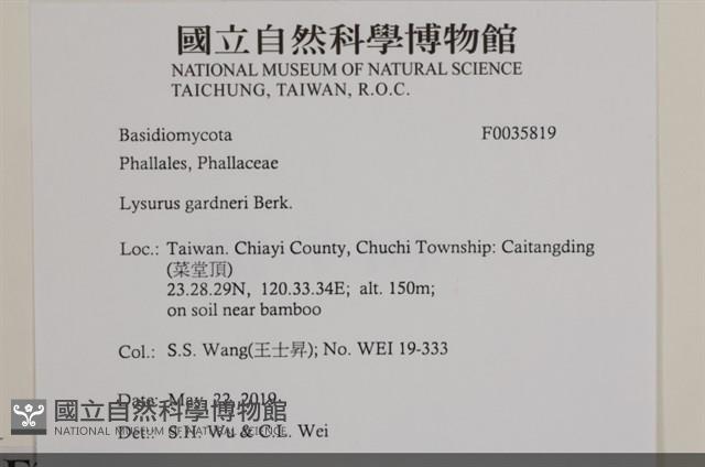 登錄號:F0035819藏品圖，第2張