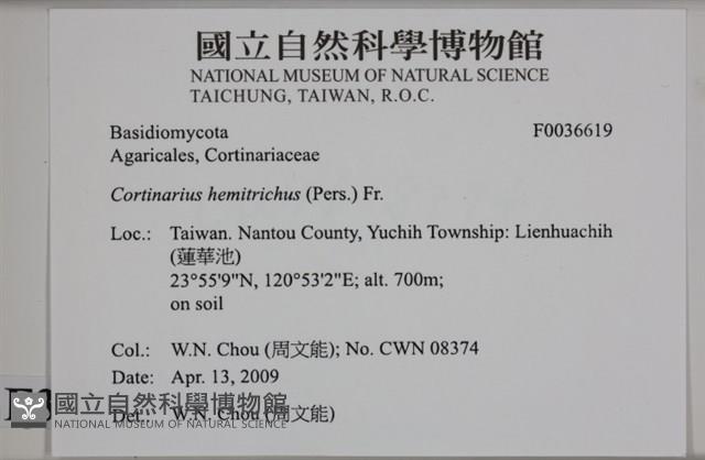 登錄號:F0036619藏品圖，第2張