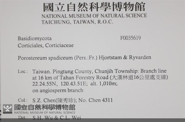 登錄號:F0035619藏品圖，第2張