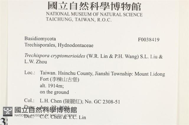 登錄號:F0038419藏品圖，第2張