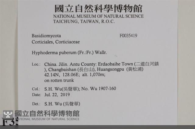 登錄號:F0035419藏品圖，第2張
