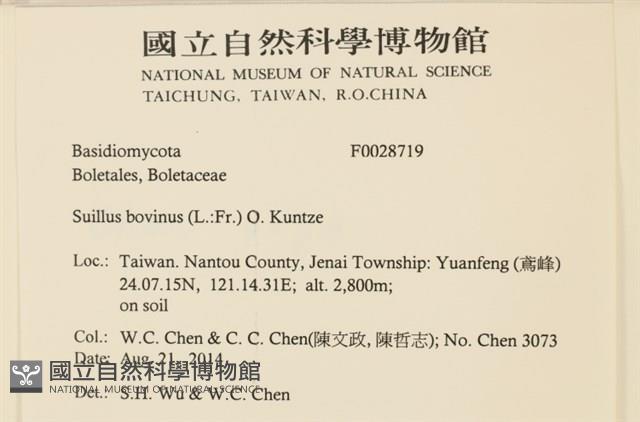 登錄號:F0028719藏品圖，第2張