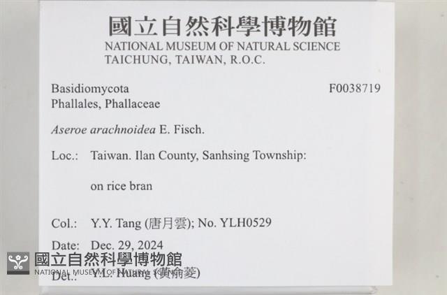 登錄號:F0038719藏品圖，第2張