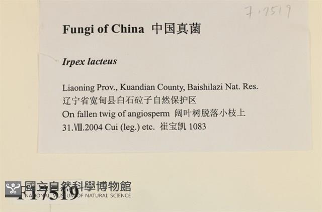 登錄號:F0017519藏品圖，第2張