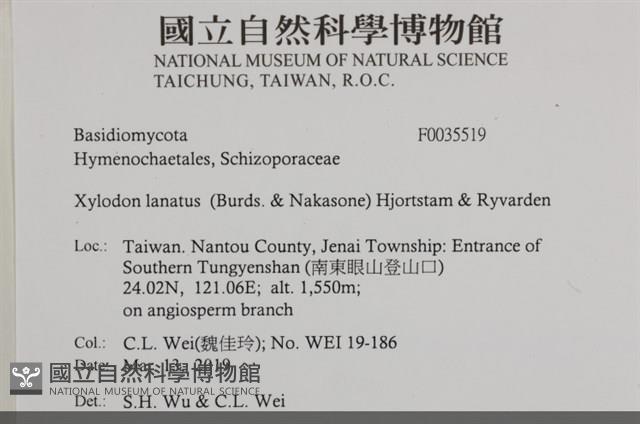 登錄號:F0035519藏品圖，第2張