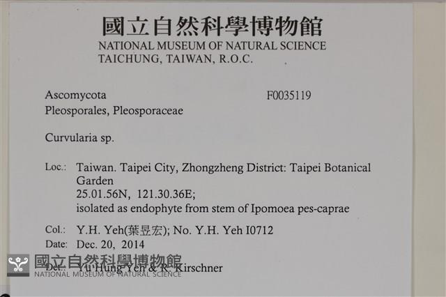 登錄號:F0035119藏品圖，第2張