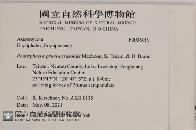 登錄號:F0036019藏品圖，第2張
