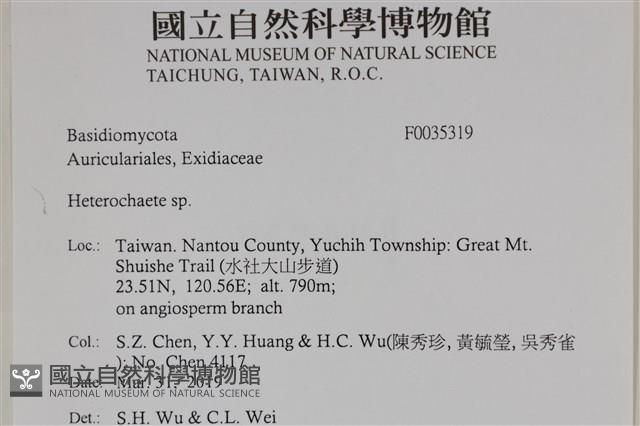 刺皮菌屬藏品圖，第2張