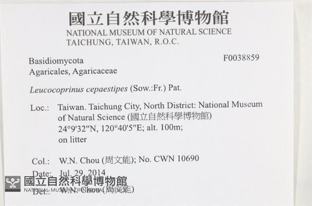 登錄號:F0038859藏品圖，第2張