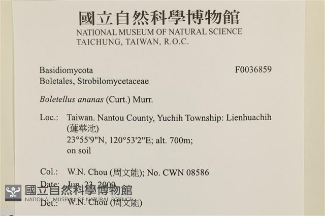 登錄號:F0036859藏品圖，第2張