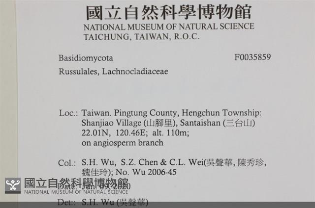 登錄號:F0035859藏品圖，第2張