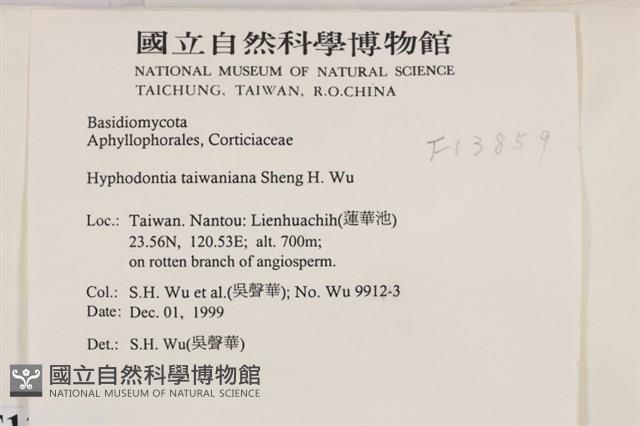 登錄號:F0013859藏品圖，第2張