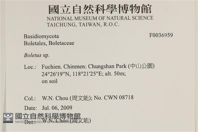 登錄號:F0036959藏品圖，第2張