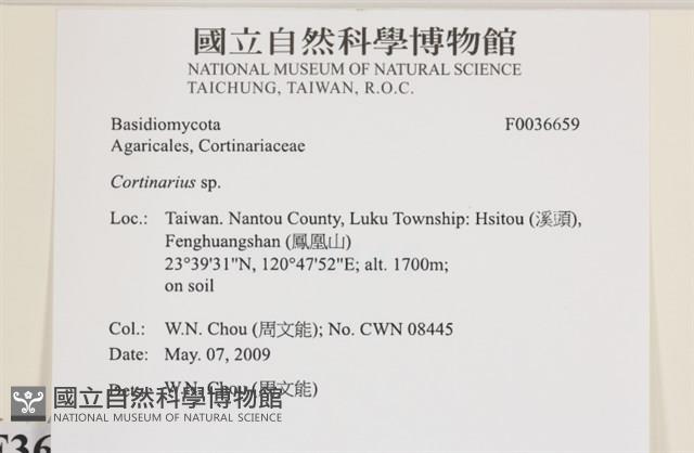 登錄號:F0036659藏品圖，第2張
