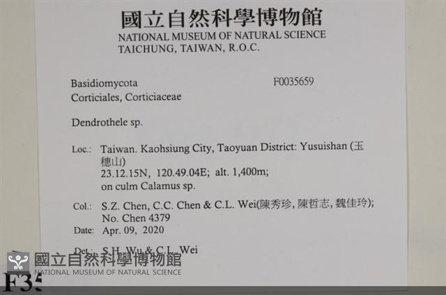 登錄號:F0035659藏品圖，第2張