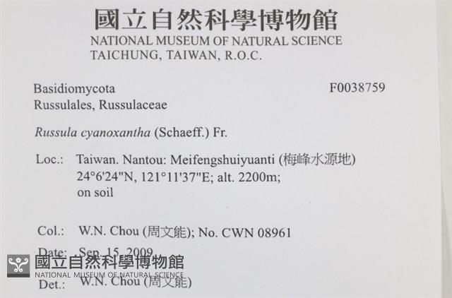 登錄號:F0038759藏品圖，第2張