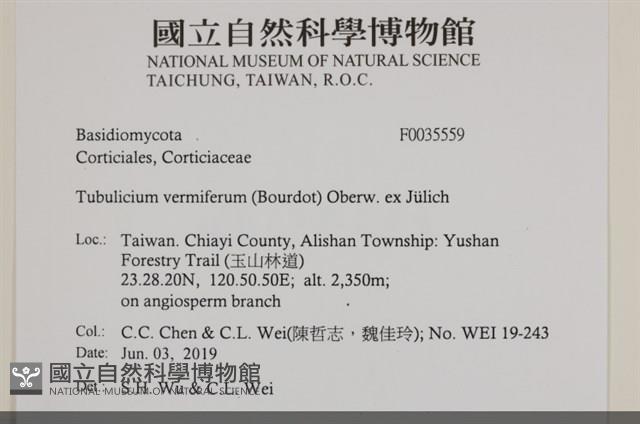 登錄號:F0035559藏品圖，第2張