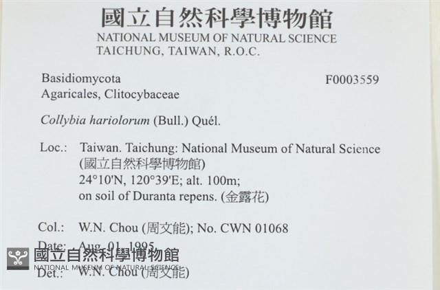 登錄號:F0003559藏品圖，第4張