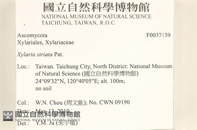 登錄號:F0037159藏品圖，第2張