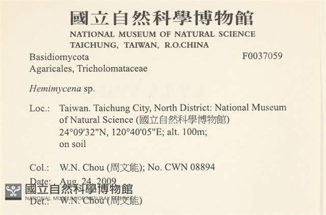 登錄號:F0037059藏品圖，第2張