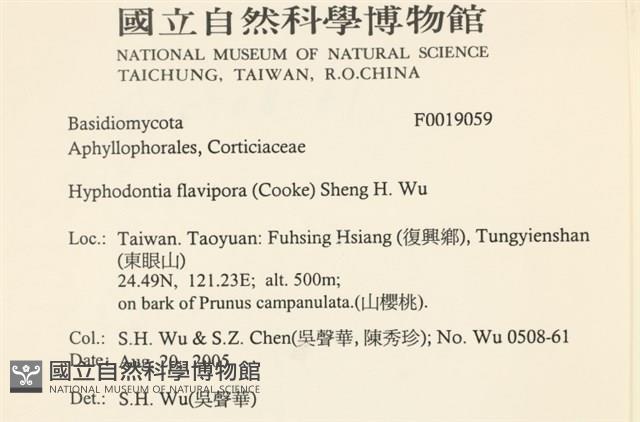 登錄號:F0019059藏品圖，第2張