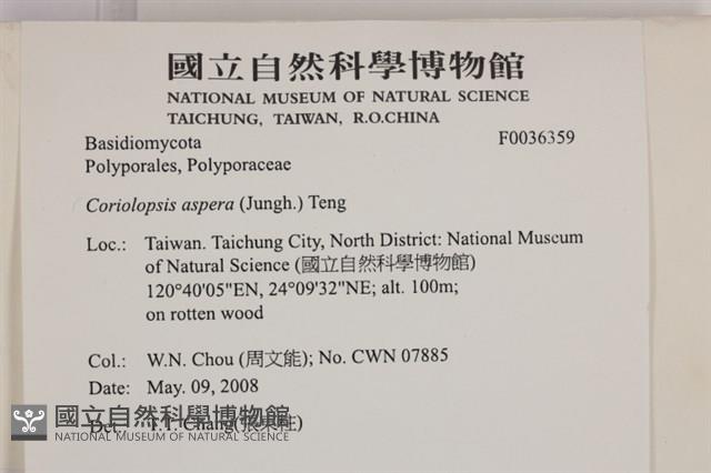 登錄號:F0036359藏品圖，第2張