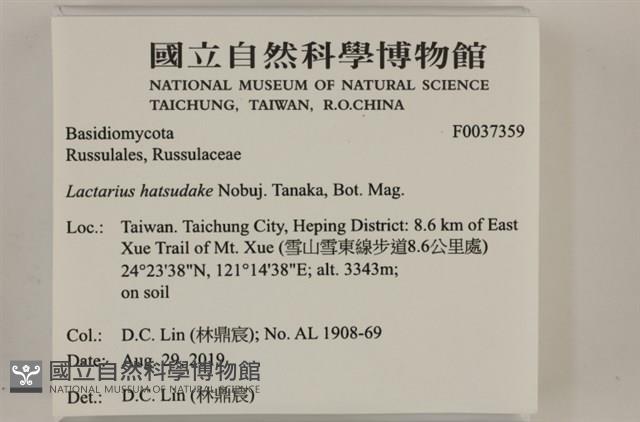 登錄號:F0037359藏品圖，第2張
