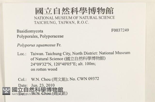 登錄號:F0037249藏品圖，第2張