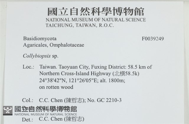 登錄號:F0039249藏品圖，第2張