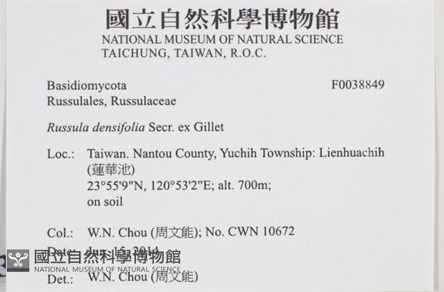 登錄號:F0038849藏品圖，第2張