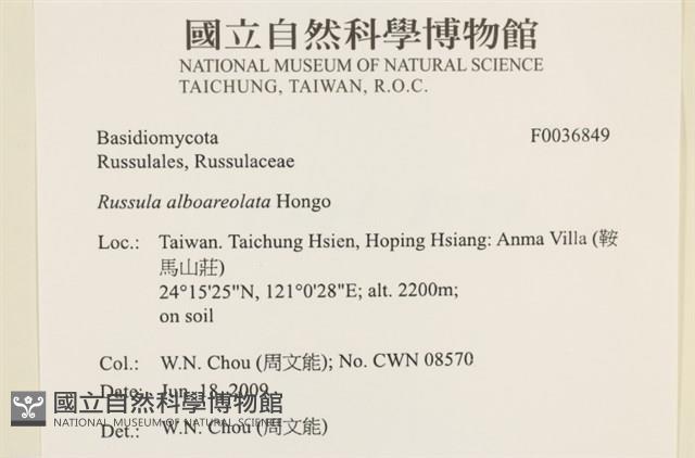 登錄號:F0036849藏品圖，第2張