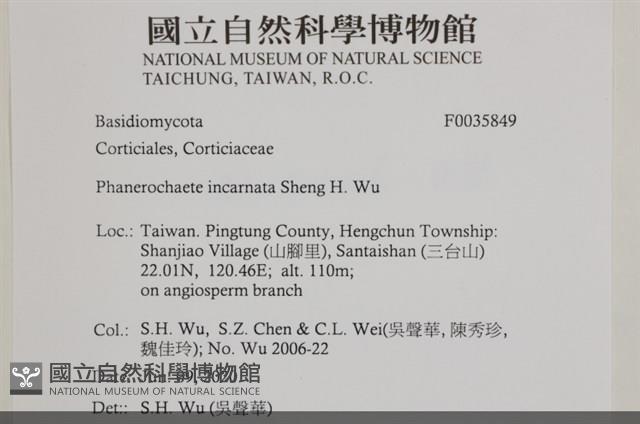 登錄號:F0035849藏品圖，第2張