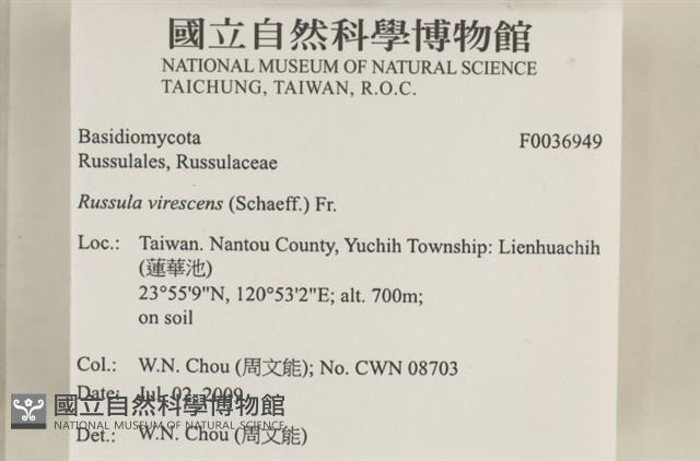 登錄號:F0036949藏品圖，第2張
