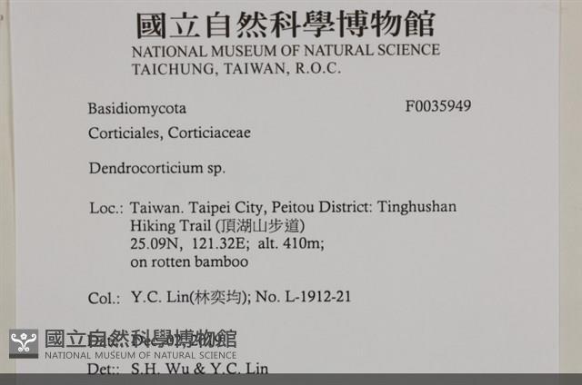 登錄號:F0035949藏品圖，第3張