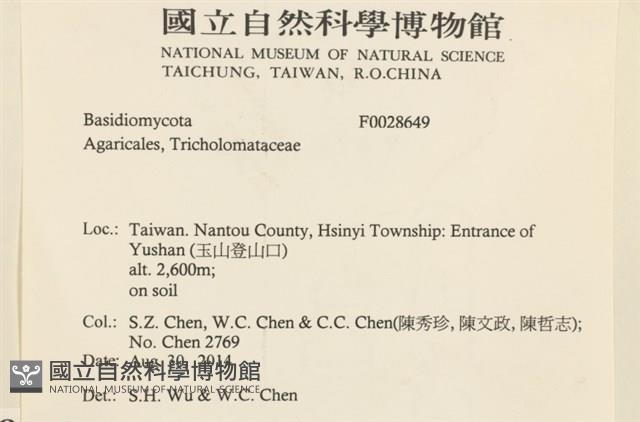 登錄號:F0028649藏品圖，第2張