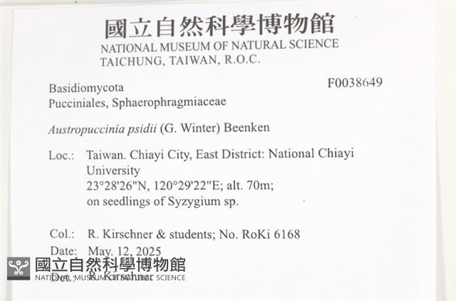 登錄號:F0038649藏品圖，第2張