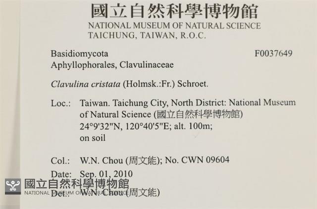 登錄號:F0037649藏品圖，第2張