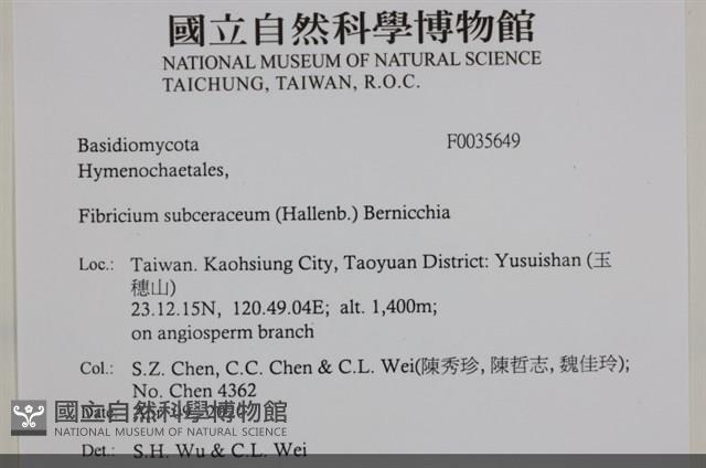 登錄號:F0035649藏品圖，第2張