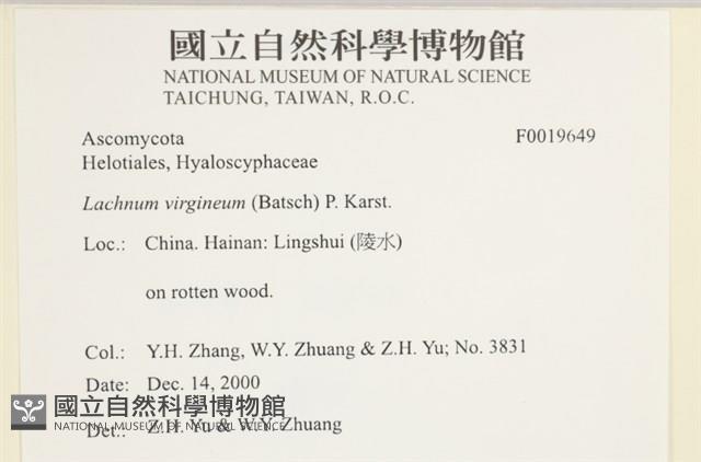 登錄號:F0019649藏品圖，第3張