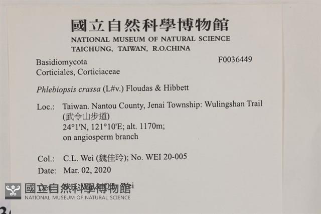 登錄號:F0036449藏品圖，第2張