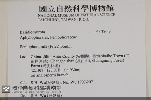 登錄號:F0035449藏品圖，第2張
