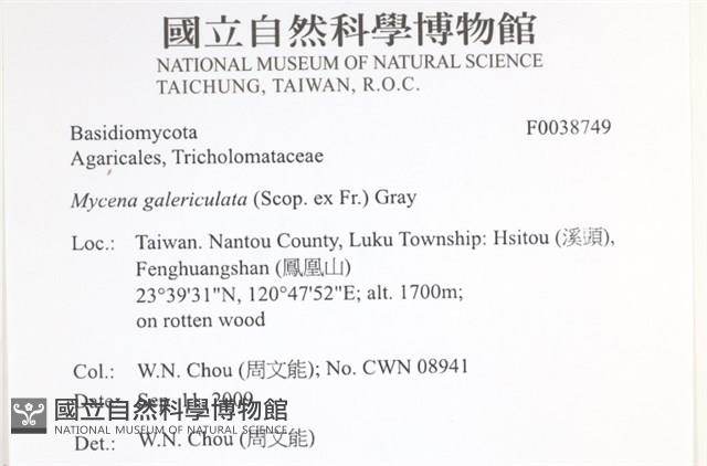 登錄號:F0038749藏品圖，第2張