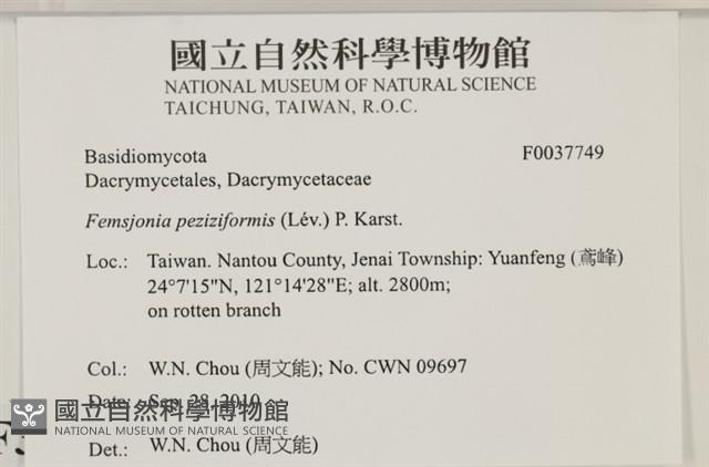登錄號:F0037749藏品圖，第2張