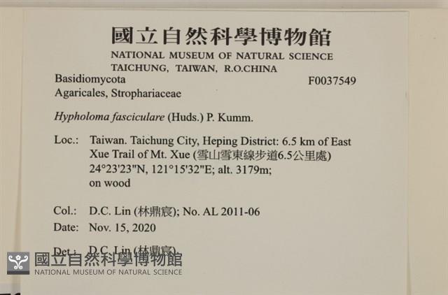 登錄號:F0037549藏品圖，第2張