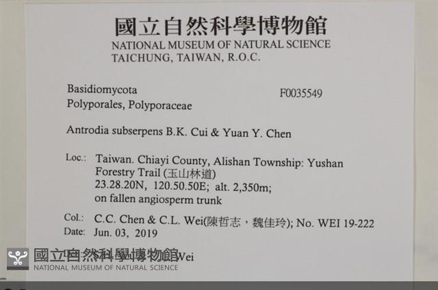 登錄號:F0035549藏品圖，第2張